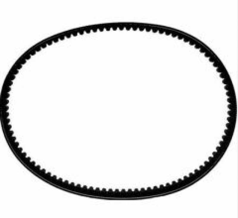 Tirtirli V Kayiş 9,5X1025 H100