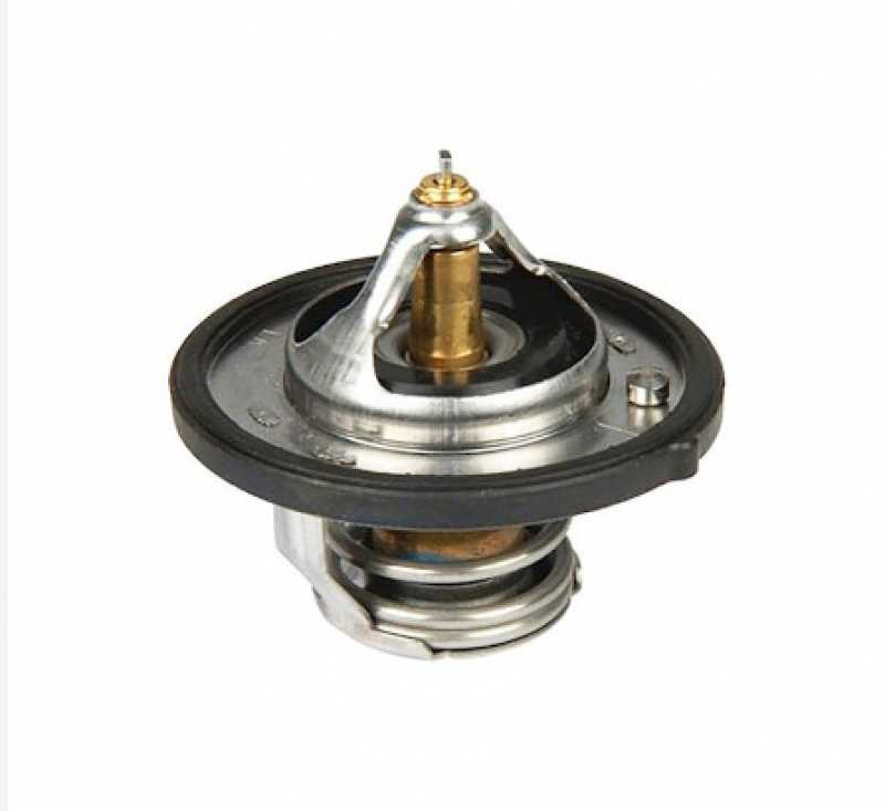 Termostat Blue Elantra I10 I20 Ix20 Ix35 I30 Cerato 255002B000