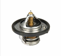 Termostat Blue Elantra I10 I20 Ix20 Ix35 I30 Cerato 255002B000