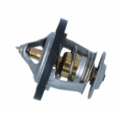 Accent Termostat 95-00