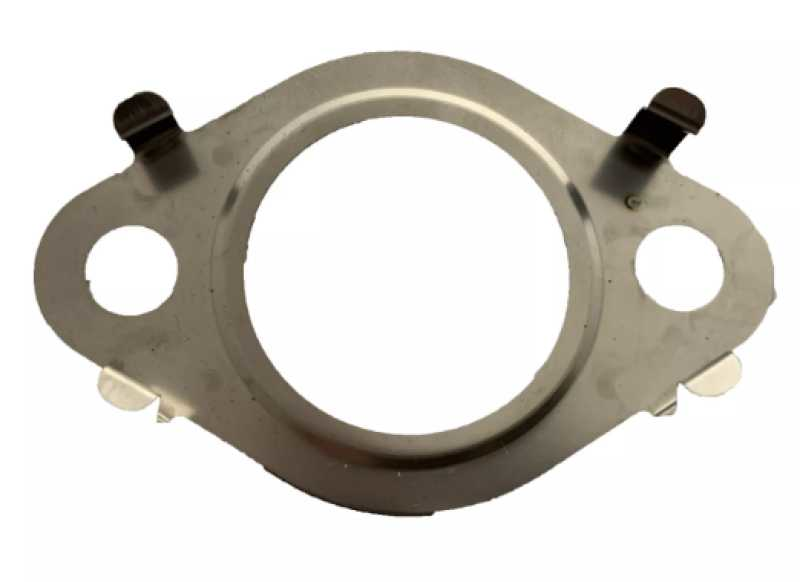 Egr Geri̇ Dönüş Contasi