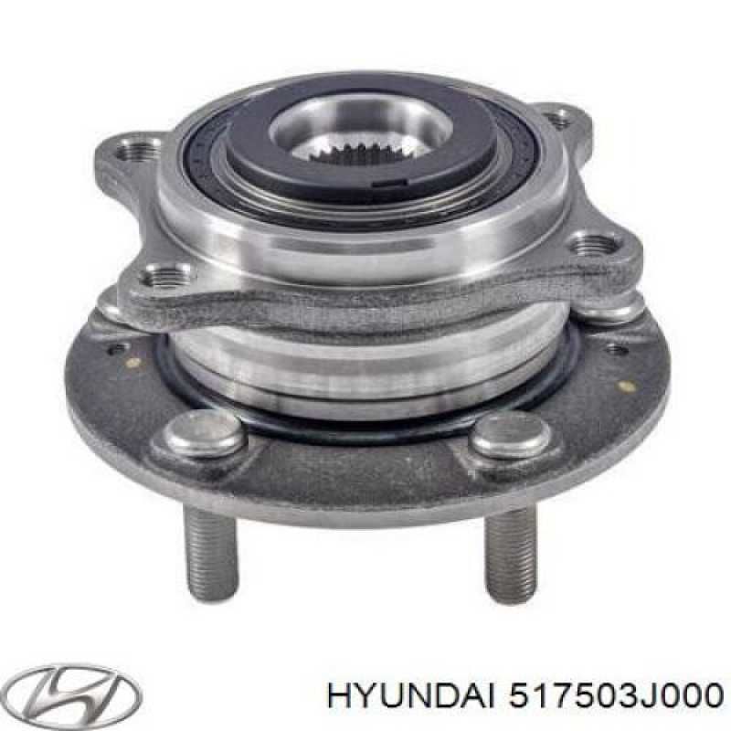 Porya Ön Arka Rulman Santafe Ix55 Sorento 4Wd - 517502B010Fff